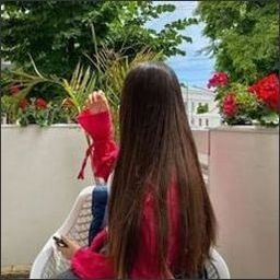 rovettofid96586's profile picture. 