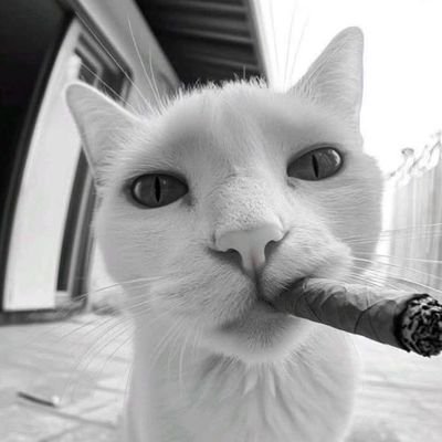 Loz25W25's profile picture. 