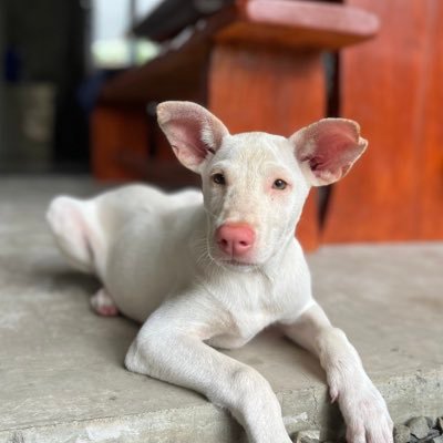 good_assh's profile picture. prayers work!