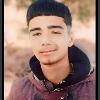 alimi_hamm50003's profile picture. 