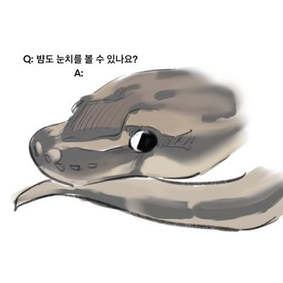 Kkim_peep's profile picture. 덤비지 말아봐 세상아. /구독 및 사담 및 본계 및 게임계. /뱀 사진 올라와요. 볌, 개굴이, 됴 똥치우개./ 히히 존잘님 마히따.