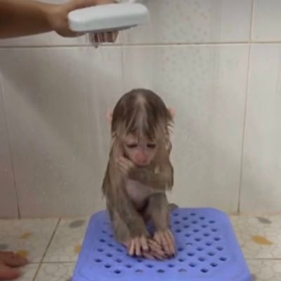 bnnlll4949's profile picture. 囍