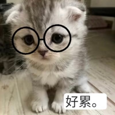 QI2k4369's profile picture. 