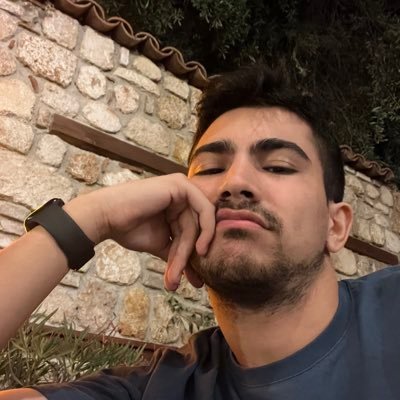 tolganogayy's profile picture. @wicornsnet again ✦ wordpress web developer ✦ open to work: tolga@nogay.tr