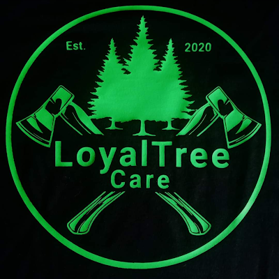 TreeworkMat's profile picture. 