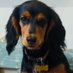 James Noake Profile picture