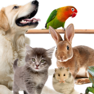 RutWojciec51393's profile picture. 