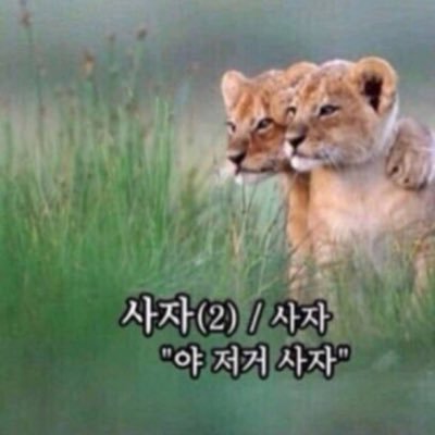 hhaappyybd's profile picture. 팔로우 하지 말아주세요 ㅠ 알람 오는 거 싫어요. 죄송해요. 모두 행복하세요.