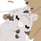 road2dbln's profile picture. 