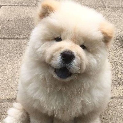 Belle999700's profile picture. Each artifact holds a story, a whisper from time that connects us to our shared human journey. 🪙