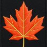 NobodyCaribou's profile picture. ₿itcoin | @DgtlComms Bitcoin Strategist -$DIGI | Canadian Orange Party 🍁