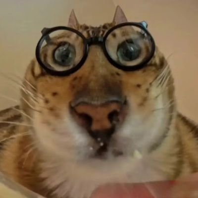 nnnnbgs's profile picture. I trade narratives，@0xuclub