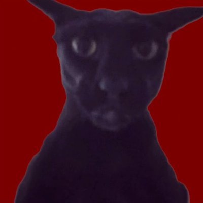 1Frameshift's profile picture. - Video Editor & Graphic designer
- Open for Freelance & Promo Work
- DM for Paid work