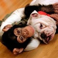 boku_pankunyade's profile picture. 大阪に住む 酒 車 音楽 女性 おっぱい パチンコが大好きな ちょっとダメなおっさんです