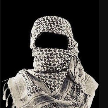 alvesszz_yrk's profile picture. 