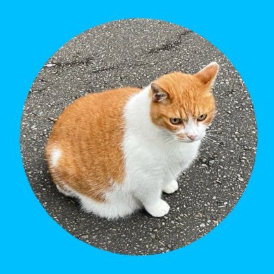 ゆんｽﾞﾛｰ師匠さんのプロフィール画像