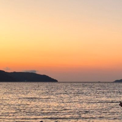 se_ri546's profile picture. 戻ってきました。夜行性です。02