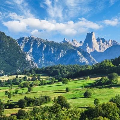 PaulJBarriosH's profile picture. 17/01/93. Lic. Educación FACE-UC, Mención Cs. Sociales, Año 2016.
TEA 1/TDAH.
🇻🇪🇪🇸🇮🇹...