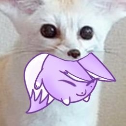 EnBe_Nu_'s profile picture. :🦊: NU:카니발 본진