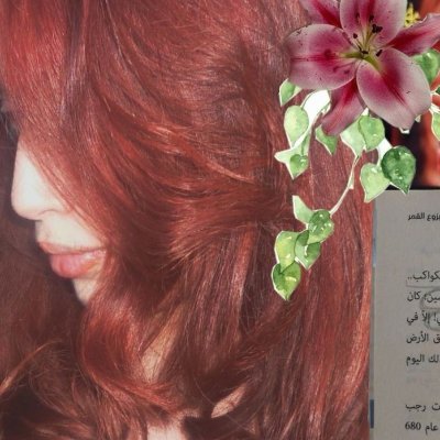 danaamiite's profile picture. 