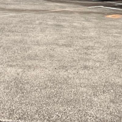 checkcheck1407's profile picture. (G) S専D 161/89/36毛深いスキンヘッド🧑‍🦲