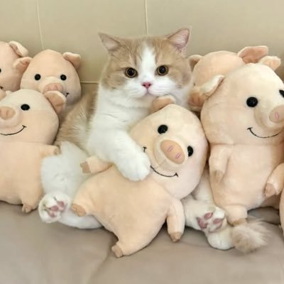 You1822358's profile picture. ผอม สะอาด นัดกันลับๆ ไม่นัดคนมีอายุงับ