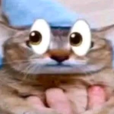 Polygutz's profile picture. 