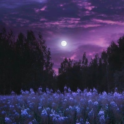 @Reesa_7