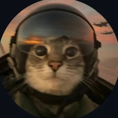 ilovesadhoes's profile picture. today I watched the clouds go by #ravensflock