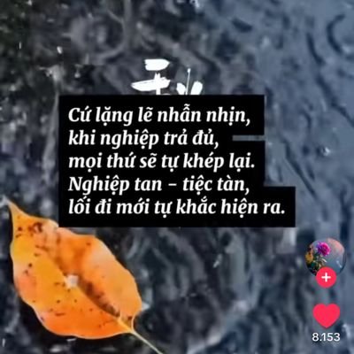 MinhLong8899's profile picture. Thích du lịch