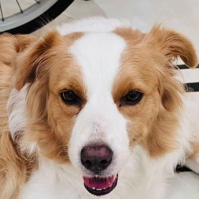 TCYYTCwyo's profile picture. Phd Candidate, Trader