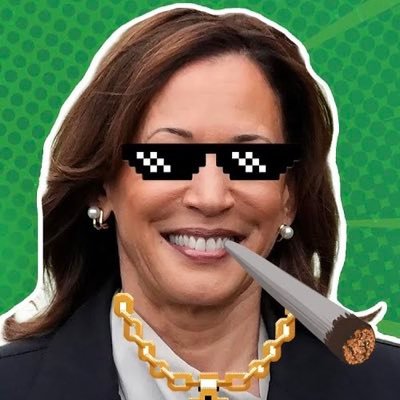 TheNorthPollUSA's profile picture. 