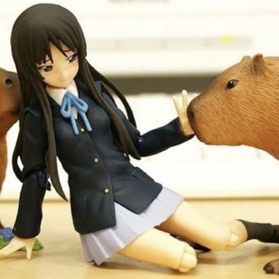 @dkspuppy