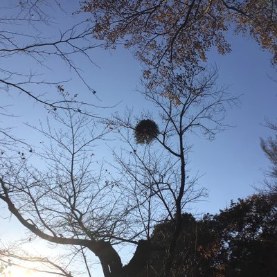 mimimpo1984's profile picture. 