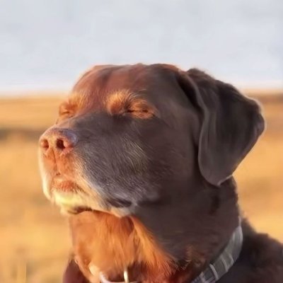 arthur19681966's profile picture. 