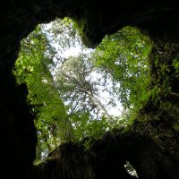 CieL (@ciel_ao117) 's Twitter Profile Photo