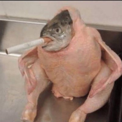 Scarnivel's profile picture. subscribe to technoblade