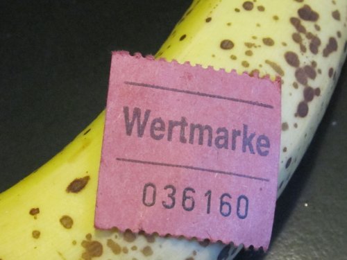 BatDetectorKit's profile picture. #Fledermaus #batnight #batdetector