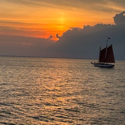 rothhowe's profile picture. Retired truth seeker.