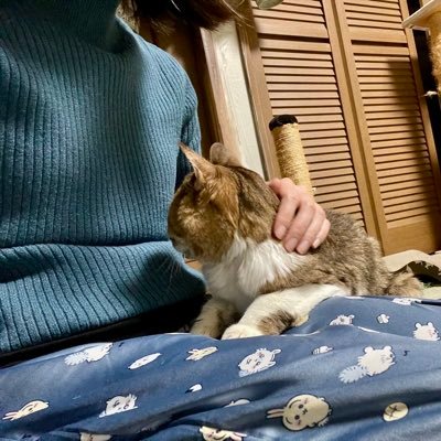 駄物さんのプロフィール画像
