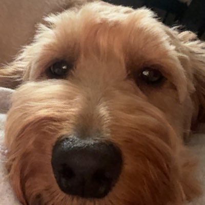 AW140597's profile picture. 