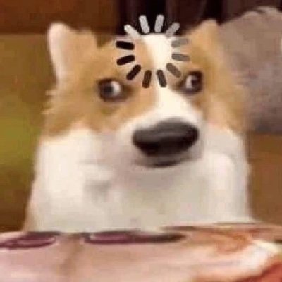 TokyoCentrist's profile picture. Am,,learning...