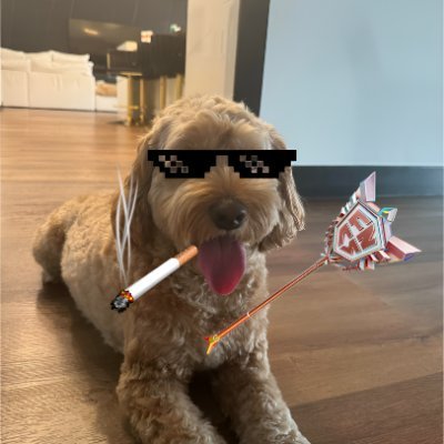 Picofn7's profile picture. 15 | Joshua 1:9 | business inquires: picobizzzz@gmail.com