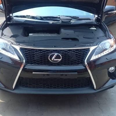 olasportx's profile picture. 