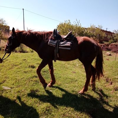 spinach106's profile picture. Orlando Pirates is a way of life ☠️☠️
A Real Man support Pirates 🏴‍☠️🏴‍☠️