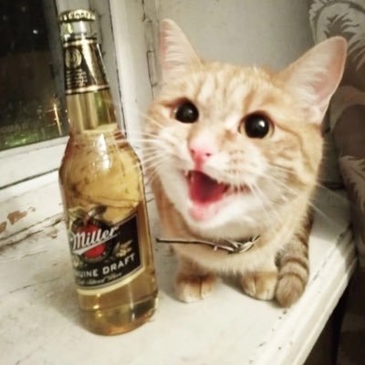 b0tbyte's profile picture. beep beep boop bap