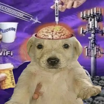 itslitelite's profile picture. 