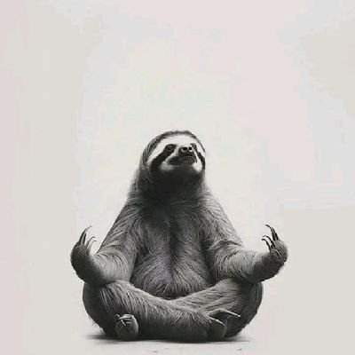 R00dger's profile picture. 