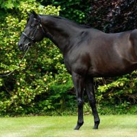 Racing league (@slbaladnnewe) Twitter profile photo