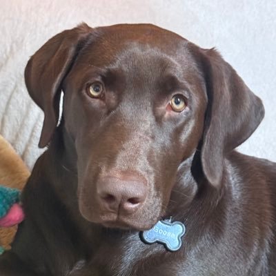 BeaumontChateau's profile picture. 